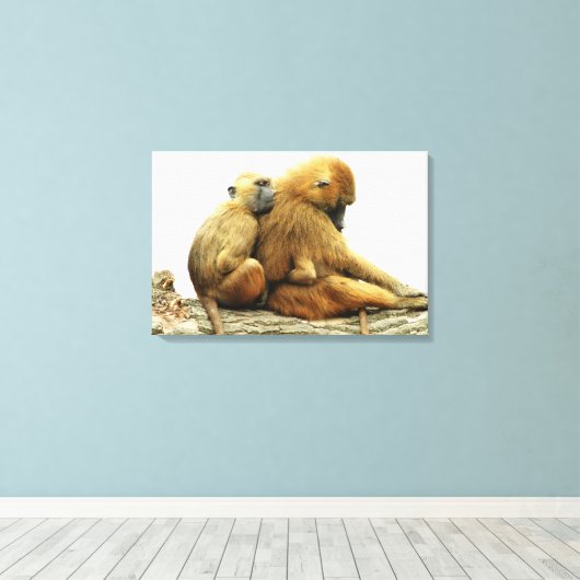 Toile Guinée babouins (Insitu (Plancher de Bois))