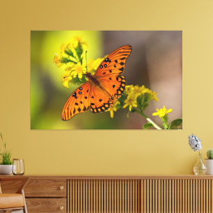 Toile Gulf Fritillary alias Papillon de la Passion sur G