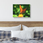 Toile Gulf fritillary Butterfly Stretched Canvas Print (Insitu(Chambre))