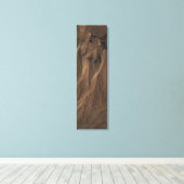 Toile Gullies au bord du cratère Hale, Mars (Insitu (Plancher de Bois))