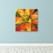 Toile Guzmania Bromeliad Plant Floral (Insitu (Plancher de Bois))