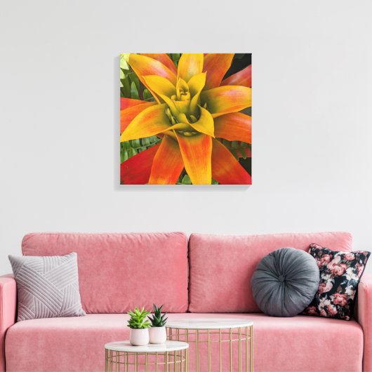 Toile Guzmania Bromeliad Plant Floral (Insitu(Salon))