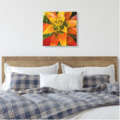 Toile Guzmania Bromeliad Plant Floral (Insitu(Chambre))