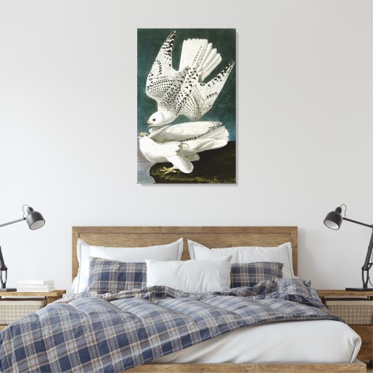 Toile Gyrfalcon par John Audubon (Insitu(Chambre))