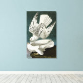Toile Gyrfalcon par John Audubon (Insitu (Plancher de Bois))