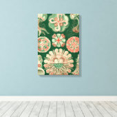 Toile Haeckel Discomedusae (Insitu (Plancher de Bois))