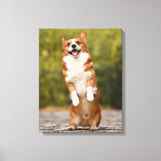 Toile Happy Corgi Puppy Standing Photo (Recto)