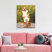 Toile Happy Corgi Puppy Standing Photo (Insitu(Salon))