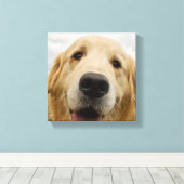 Toile Happy Golden Retriever (Insitu (Plancher de Bois))
