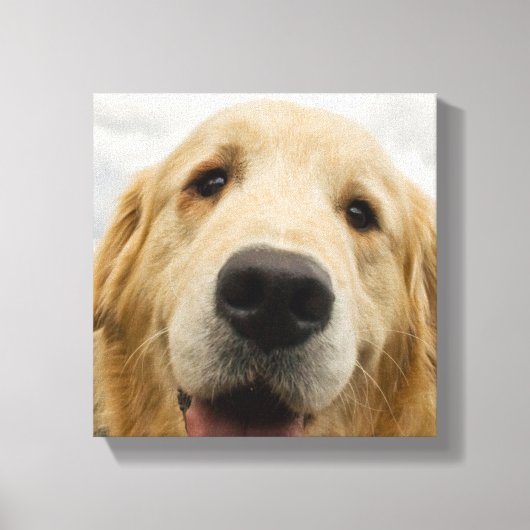 Toile Happy Golden Retriever (Recto)
