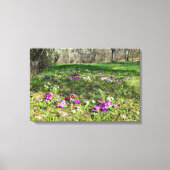 Toile Harbinger du printemps (Recto)