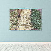 Toile Haricots du jardin (Insitu (Plancher de Bois))