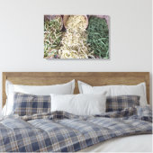 Toile Haricots du jardin (Insitu(Chambre))