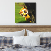 Toile Harvey le hibou II (Insitu(Chambre))