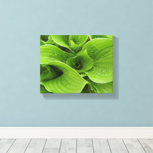 Toile Hastas (Insitu (Plancher de Bois))