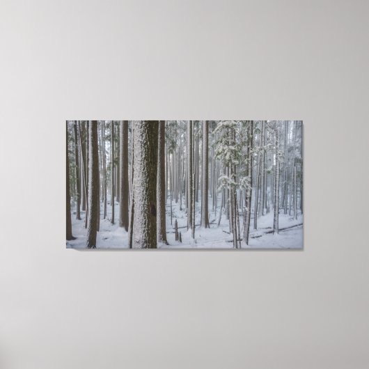 Toile Haut debout #1 (Recto)