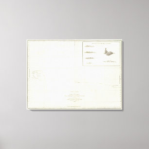 Toile Hawaï 4