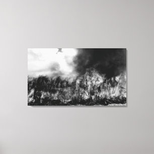 Toile Hawaï - vue de gisement de canne à sucre sur le