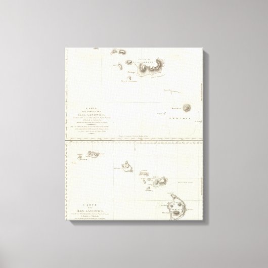 Toile Hawaii (Recto)