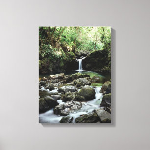 Toile Hawaii, Maui, Une cascade se jette dans la piscine