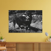 Toile HawaiiA Water Buffalo Photo Hawaii (Insitu(Salon))