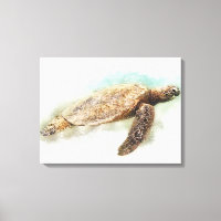 Hawaiian sea Turtle Watercolor