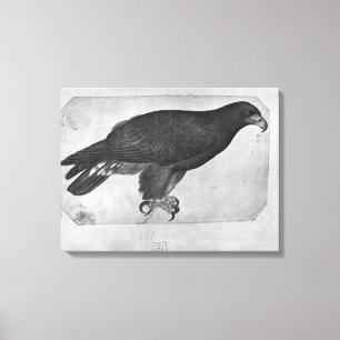 Toile Hawk, de l'album The Vallardi