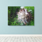 Toile Head Of Bull Thistle  (Insitu (Plancher de Bois))
