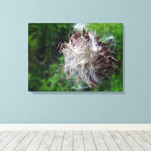 Toile Head Of Bull Thistle  (Insitu (Plancher de Bois))