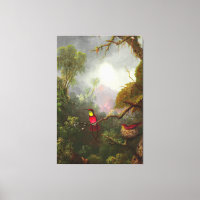HEADE - Colibris de nidification, Paysage brésilie