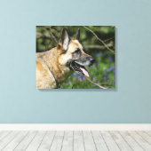 Toile Headshot 3 du berger allemand (Insitu (Plancher de Bois))