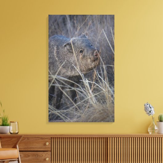 Toile hello piggy (Insitu(Salon))