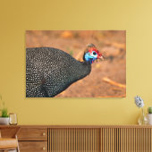 Toile Helmeted Guinea Fowl (Numida meleagris). Afrique, (Insitu(Salon))