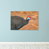 Toile Helmeted Guinea Fowl (Numida meleagris). Afrique, (Insitu (Plancher de Bois))