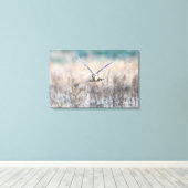 Toile HEN harrier (Insitu (Plancher de Bois))