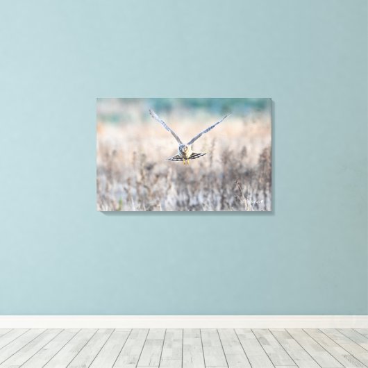 Toile HEN harrier (Insitu (Plancher de Bois))