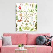 Toile Hepaticae Lebermoose par Ernst Haeckel (Insitu(Salon))