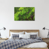 Toile Herbe de persil vert naturel Photo pour la cuisine (Insitu(Chambre))