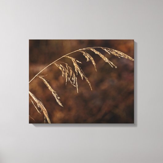 Toile Herbe d'hiver (Recto)