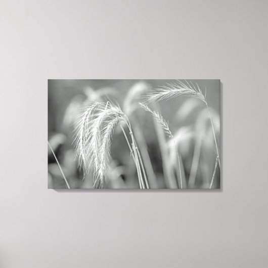 Toile Herbes Sauvages - Noir Et Blanc (Recto)