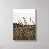 Toile Herbes soufflant dans le vent (Recto)