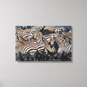Toile Herd de zèbres 2