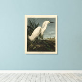 Toile Héron de neige (Egret) - Les oiseaux d'Amérique d' (Insitu (Plancher de Bois))