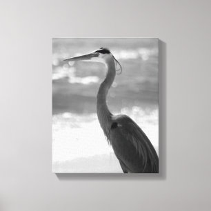 Toile Heron noir et blanc sur la plage 11x14