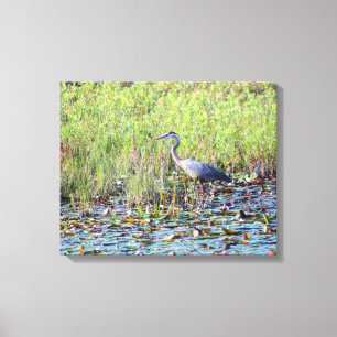 Toile Heron P6450