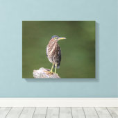 Toile Héron vert 14x11 sur un log (Insitu (Plancher de Bois))