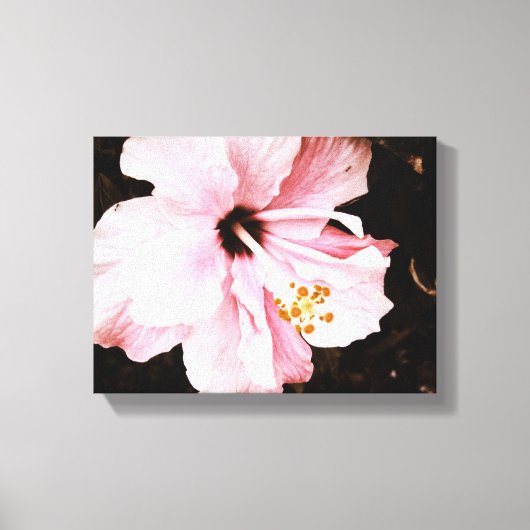 Toile Hibiscus (Recto)