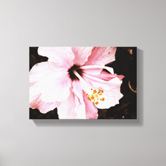 Toile Hibiscus (Recto)