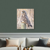 Toile Hibou des marais avec Campagnol