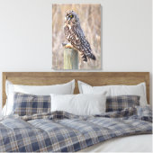Toile Hibou des marais avec Campagnol (Insitu(Chambre))